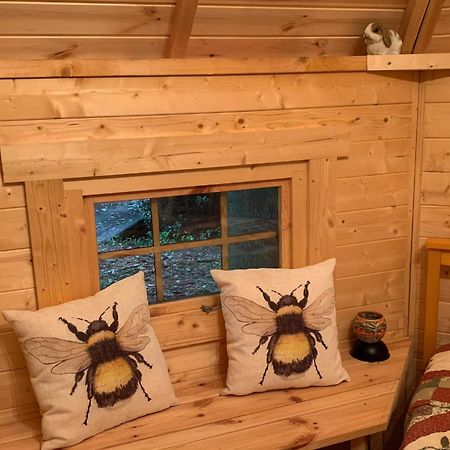 Starry Meadow & Rescued Animal Experiences Villa Great Yarmouth Room photo
