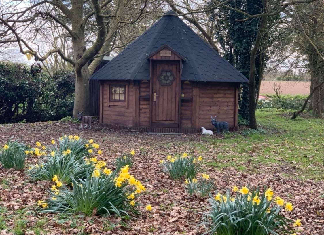 Starry Meadow & Rescued Animal Experiences Villa Great Yarmouth Exterior photo