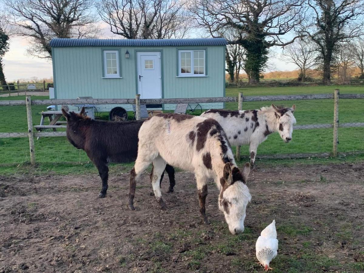 Starry Meadow & Rescued Animal Experiences Villa Great Yarmouth Exterior photo