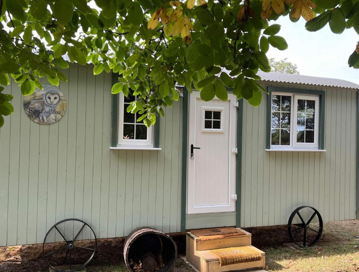 Starry Meadow & Rescued Animal Experiences Villa Great Yarmouth Room photo