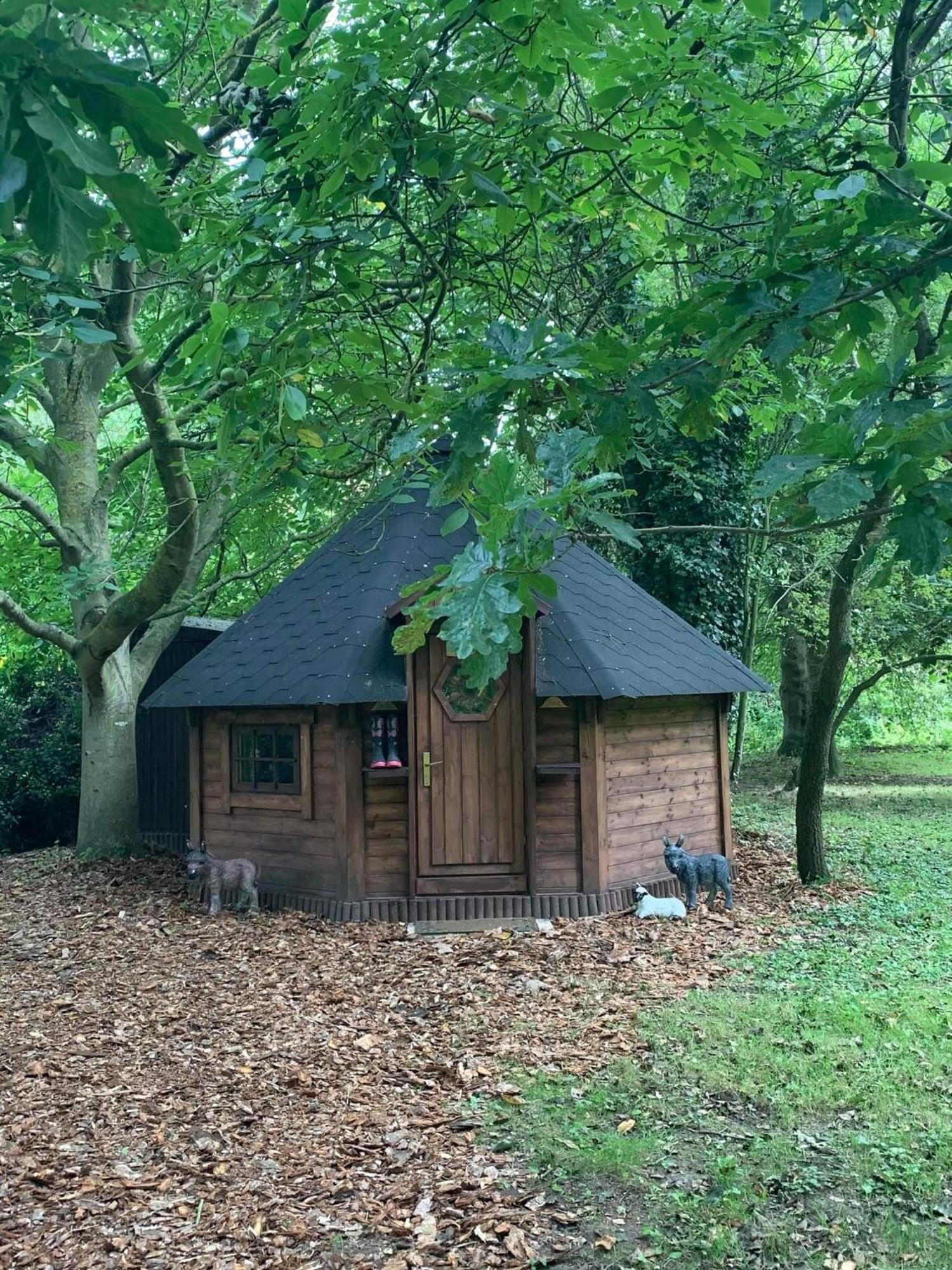 Starry Meadow & Rescued Animal Experiences Villa Great Yarmouth Room photo