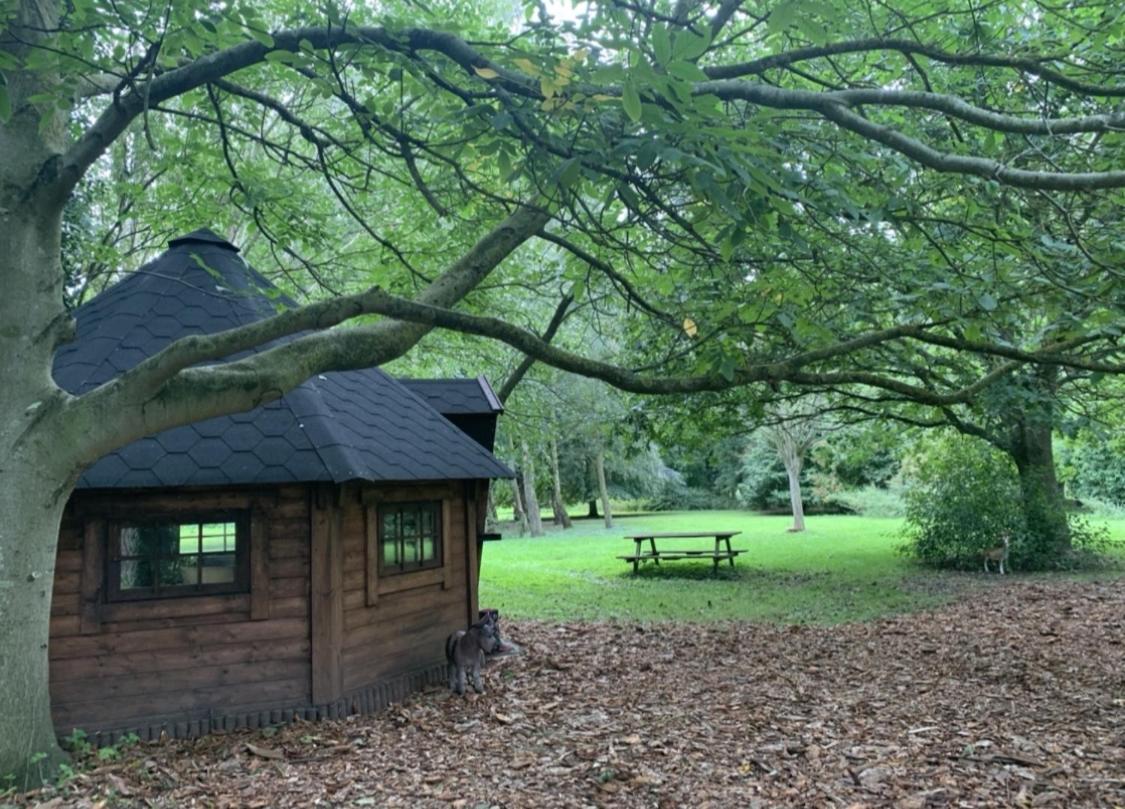Starry Meadow & Rescued Animal Experiences Villa Great Yarmouth Exterior photo
